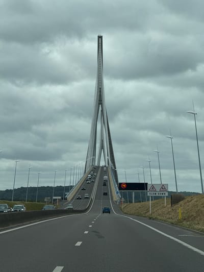 This image presents a view of the Pont de Normandie, a prominent cable-stayed bridge, as approached from a multi-lane highway in Sandouville, France. The central feature is the bridge's towering main pylon, an inverted Y-shaped concrete structure, which extends upwards into a heavily overcast, gray sky. Numerous stay cables, visible as thin lines, descend from the pylon, supporting the inclined bridge deck.

The asphalt road in the foreground consists of at least two lanes for traffic heading towards the bridge, marked by white dashed and solid lines. The road gradually slopes upwards to meet the bridge deck. Approximately 20 vehicles, primarily passenger cars and some vans, are present on the ascending road and the initial section of the bridge, all moving in the same direction towards the bridge's apex.

On the right side of the road, a black rectangular digital display shows a red "70" within a circle, indicating a speed limit of 70 km/h. To its right, two triangular warning signs with red borders are positioned above a rectangular sign. The left triangular sign depicts a bicycle, and the right one illustrates two stylized pedestrians. Below these, the rectangular sign clearly states "SLOW DOWN." A series of contemporary streetlights with elongated, flat fixtures line both sides of the road and the bridge, extending into the background.

The immediate environment on the left consists of a concrete barrier separating the roadway from a vegetated area with cars parked or driving on an adjacent road. On the right, a grassy embankment with dry, light-colored vegetation borders the road. Beyond this, a dense line of dark green trees covers distant hillsides, forming the horizon. The sky is entirely covered by a thick layer of gray clouds, indicating an overcast day. No individuals are visibly outside of the vehicles.