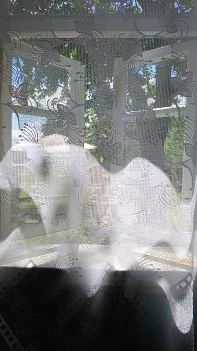 The image shows a white lace curtain hanging in front of a window. Through the curtain, a blurred view of trees and sky can be seen. The curtain has a floral pattern. The lower portion of the image is dark, obscuring the view of what is inside the room. The image appears to be taken indoors, looking out of a window. The location of Доктаравіцкі сельскі Савет, Belarus is not discernible from the image.
