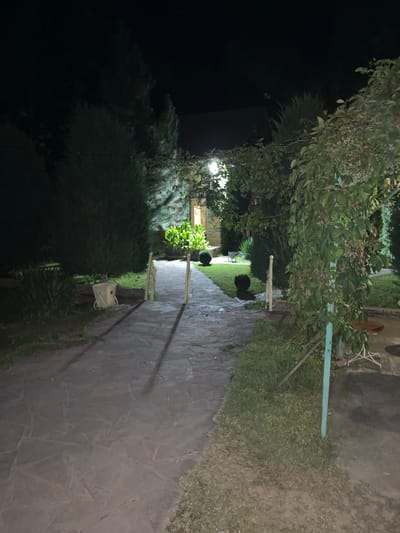 A paved walkway with irregularly shaped stones leads through a grassy yard at night. To the left of the walkway, a large evergreen tree stands near a light-colored trash receptacle. Further along the walkway, decorative white metal fences mark the entrance to a garden area. The garden features manicured bushes, leafy plants, and trees illuminated by artificial lights. The background shows a building with glowing windows. The scene appears to be a well-maintained outdoor space, possibly a residential yard or a public park in Машат, Kazakhstan.