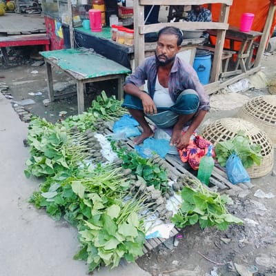 This outdoor image depicts a street vendor selling green leafy plants or saplings in Lalmohan, Bangladesh, during daylight hours. In the foreground, a bearded man with dark hair, wearing a plaid shirt over a white undershirt and dark pants, squats on the ground, looking towards the viewer with a neutral expression.

He is surrounded by numerous bundles of green leafy plants, many with visible root systems and clumps of soil, suggesting they are freshly harvested or intended for planting. These plants are displayed on the concrete ground and on crude wooden slats.

Behind the man, a makeshift market stall or shop is visible, constructed from wooden planks, some painted red and green, and covered by a red or orange tarp. On and around this stall are various items, including a pink thermos, a blue cup, clear jars containing yellow contents, and a blue barrel. Another person is partially seen seated inside the stall in the background.

To the vendor's right, two large, woven bamboo baskets are on the ground, commonly used in the region for storage or as chicken coops. A green spray bottle and blue plastic bags are also present among the wares. The ground beneath the stall and around the vendor is a mix of concrete and dirt, littered with scattered debris like plastic and paper, typical of a bustling market environment. A yellow sign on the stall prominently displays the partially visible text "YOUR STORY?". The scene conveys a daily commercial activity in a bustling street market setting.