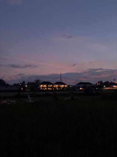 The image depicts a dimly lit outdoor scene at dusk in Banjar, Indonesia. The sky is a deep purple with hints of pink and orange from the setting sun, with scattered clouds. In the background, several buildings are visible, their windows illuminated by warm light, suggesting that the occupants are home or that interior lights are on. Trees and other vegetation are silhouetted against the sky, with some appearing to be palm trees, a common sight in tropical regions.

To the right of the buildings, a dark area of dense foliage, likely a field or dense undergrowth, takes up a significant portion of the frame. A thin, reflective strip of water runs along the edge of this foliage, mirroring the faint lights from the buildings and sky. A white structure, possibly a bird or a small statue, is partially visible in the water. A faint, tall, pole-like structure is visible in the distance, possibly a utility pole or a distant tower.

The overall mood is tranquil and serene, indicative of the quiet transition from day to night. The low light conditions and the warm glow from the buildings create a cozy and peaceful atmosphere. There is no visible text in the image.