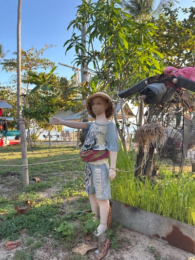 In Baan Taling Ngam, Thailand, a life-sized mannequin stands outdoors in a grassy area. It is wearing a straw hat, a light-colored t-shirt with a graphic print, a sarong-like wrap around its waist, and blue shorts with the word "BATMAN" printed on them. The mannequin's right arm is extended horizontally, as if pointing. In the background, there are palm trees, other trees with green foliage, a body of water, and some beach umbrellas and chairs. To the right of the mannequin, there is a structure made of various materials, including rope, netting, and straw. There are also small green plants growing in a metal planter box. The ground is covered with grass, dirt, and fallen leaves. The sky is clear and blue.