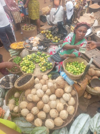 In Ikoga, Nigeria, a busy market scene unfolds as a woman in a green and red patterned outfit, her head covered with a brown scarf, engages in a transaction with a customer. She holds out a few Nigerian Naira notes in her hands, presumably for payment. Around her, a variety of fresh produce is displayed for sale. In the foreground, numerous coconuts are piled in baskets, their rough exteriors a testament to their freshness. Behind the coconuts, baskets overflow with small, green limes, some in bowls and others directly in the woven baskets. Nearby, a blue plastic bottle of water rests among the produce. Further back, a woven basket holds dried, dark brown beans. A large platter contains yellow, fried plantain chips, and another basket is filled with small, dark pods. The ground beneath the market stalls appears to be a mix of reddish-brown earth. The overall impression is one of vibrant commerce and the bounty of local agriculture.