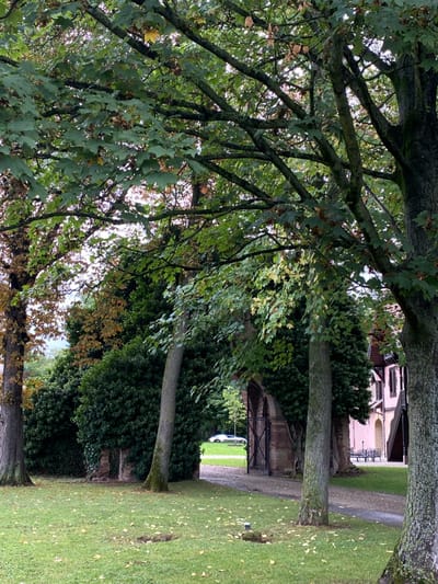 The image captures an outdoor scene in Dorlisheim, France. The foreground is a green lawn with scattered brown and yellow leaves, displaying two small, dark, rectangular objects embedded at ground level. Multiple mature trees with thick, bark-covered trunks and dense green foliage, interspersed with yellowing leaves, dominate the upper and lateral areas of the frame. In the midground, slightly left of center, a stone archway, partially obscured by dense green shrubbery and ivy, frames an open black metal gate. Through this gate, a light-colored sedan is visible, parked on a paved surface beyond. To the right of the archway, a section of a building with light-colored walls and dark brown timber framing is present, showing multiple windows, some with dark shutters, and an outdoor bench. A paved pathway originates at the archway and extends towards the right foreground, past the building. No individuals are visible in the scene.