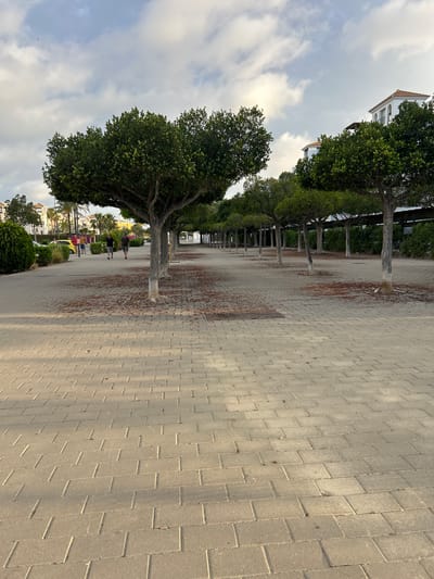 This is a full, eye-level, outdoor, daytime, vertical shot of a tree-lined pedestrian walkway in Vera Playa, Spain. The walkway is paved with light-colored rectangular bricks, and a row of evenly spaced trees with dark green foliage runs along the right side of the path. The trees have smooth, light-colored trunks, and a light scattering of brown leaves is visible on the ground around their bases. In the background, beyond the trees, there is a low building with white walls and terracotta-tiled roofs, possibly apartments or hotels, and more palm trees and green bushes are visible. On the left side of the walkway, there are more trees and bushes. Three people are walking away from the camera on the left side of the path. One person is wearing a yellow shirt, another a red shirt, and a third person is wearing a dark shirt. The sky is overcast with scattered clouds.