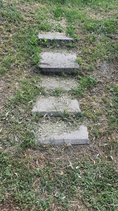 A series of five rectangular concrete stepping stones are laid diagonally across a grassy area. The stones are weathered and slightly uneven, with grass and dry leaves growing between them and around their edges. The surrounding ground is covered in a mix of green grass, dry stalks, and some low-lying green vegetation. The stepping stones appear to be part of a path or garden feature. The scene is outdoors, with natural daylight. There are no people or animals visible in the image. The setting appears to be a natural, possibly slightly overgrown, outdoor space. There is no visible text.