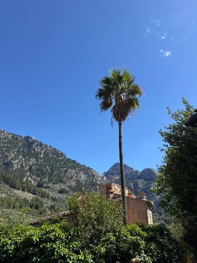 A low-angle, tilted shot captures a tall palm tree in Fornalutx, Spain. The tree's long, bare trunk stretches across the frame toward a multi-story, stone building nestled into the side of a mountain. The building is partially obscured by lush green foliage. Behind the building, a steep, rocky mountain covered with trees rises into the frame. The sky is a clear, bright blue with a few wispy clouds. Green trees are visible at the top edge of the frame.