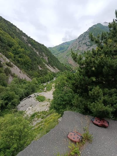The image captures a scenic mountain valley landscape, likely in or near Dzivgis, Russia. The valley floor is filled with a dry, rocky riverbed and lush green vegetation, including dense trees and shrubs. Steep, forested mountainsides rise on either side of the valley. The sky is overcast with clouds. In the foreground, two decorative, ladybug-shaped stones rest on a paved surface. One stone is closer to the viewer and appears to be partially overgrown with grass. The other stone is further away, positioned to the right. A large pine tree branch occupies the right side of the image, partially obscuring the view of the mountains.