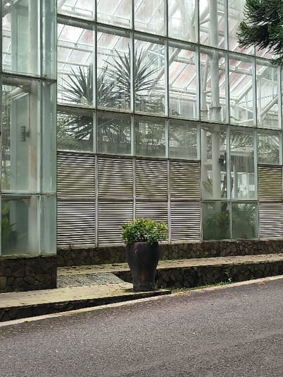 The image depicts a greenhouse structure with clear glass panes and alternating sections of metal louvers. Various plants are visible both inside the greenhouse and directly outside, with one potted plant set upon a concrete ledge next to a dark gray road. The overall image is shot at a slight angle.
