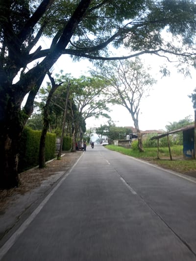 The image depicts a road in Xayabury District, Laos. The road surface is asphalt and has a single white line marking the center. Trees line both sides of the road, forming a canopy overhead. On the left side of the road is a green hedge and some trees. A group of people is standing near the side of the road. On the right side of the road, there are some buildings and fences. A motorbike is traveling down the road. The sky is overcast.