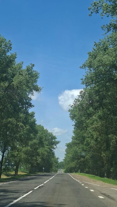The image depicts a straight, paved road lined with tall, mature trees on both sides. The road has white lane markings. The sky above is a vibrant blue with a few scattered white clouds. The scene appears to be in a rural or suburban area, possibly a tree-lined avenue within the Дзяржынскі сельскі Савет, Belarus, given the context. There are no people or vehicles immediately visible on the road, suggesting a serene and possibly quiet moment. The overall impression is one of a clear, pleasant day with natural scenery dominating the view.