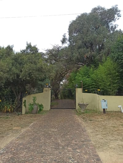 This image shows a paved walkway leading to a gate. The walkway is made of reddish-brown cobblestones laid in a curved pattern. To the left of the walkway is a dry, grassy area and beyond that, a wall painted a light yellow. On the wall, there is a grey electrical box with the text "KIE" visible on it. There is also a house number "113" visible on the wall. A metal gate with vertical bars is in front of the walkway.

To the left of the wall and gate, there are many trees with lush green foliage. Some of the trees are quite tall and dense, while others are smaller and have more delicate leaves. A large, dark green potted plant with broad leaves sits on the ground in front of the wall, to the right of the gate.

The scene appears to be outdoors, possibly in a residential area given the gate and house number. The lighting suggests it is daytime, with overcast skies as indicated by the bright, diffused light and lack of strong shadows. There are no people visible in the image. The overall impression is one of a secure entrance to a property, surrounded by vegetation. The presence of the electrical box and warning signs on the fence suggest a security system is in place. The location context is Randburg, South Africa.
