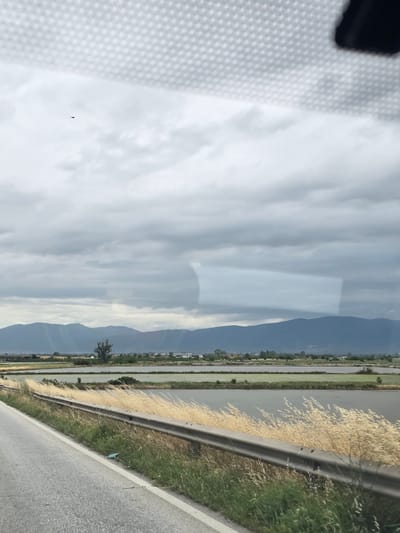 The image depicts a landscape scene with a road in the foreground, leading towards a body of water and mountains in the distance. The road is paved and has a white line marking its edge. A metal guardrail runs alongside the road, separating it from a grassy area with tall, dry grass. Beyond the grassy area is a large, flat expanse of water, possibly a flooded field or a lake, with several rectangular sections. In the background, there are low-lying hills or mountains under a cloudy sky. A single tree is visible in the middle ground, to the left of the center. The sky is overcast with dark clouds. The location is identified as Skutare, Bulgaria. There are no people or animals visible in the image. The overall impression is a rural, open landscape.