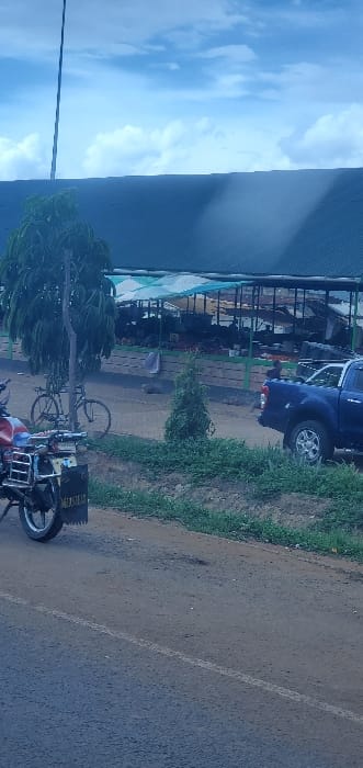 This image depicts an outdoor market scene in Mua ward, Kenya, under a partially cloudy sky. In the foreground, a paved road with a faded white centerline runs horizontally across the lower third. On the far left, a red and black motorcycle with a visible rear rack and a mudguard displaying partial text is parked. A strip of grassy terrain separates the road from the market. On this strip, a tree with green foliage stands, with a dark-framed bicycle leaning against its trunk. A smaller, conical green bush is also present. To the right, the rear section of a dark blue pickup truck with chrome wheels is parked on the grassy area. In the background, a large open-air market structure is visible. It features a dark roof, partially covered by a lighter, possibly green and white striped canopy, supported by green-painted framework. Beneath the canopy, various stalls display indistinct merchandise, and multiple figures of people are discernible within the market space. One individual is partially visible near the rear of the blue pickup truck. A tall, thin pole or antenna extends vertically into the sky on the far left.