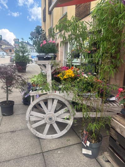 The image shows a sidewalk outside a building, likely a shop, in Les Rousses, France. A decorative wooden wagon filled with various potted plants is prominently displayed. The wagon has two large, weathered wooden wheels. Among the plants are bamboo, a small conifer, a Japanese maple with reddish foliage, lavender, and various flowering plants in pink, yellow, and white. In the background, there are buildings, street signs, and parked cars. The sky is partly cloudy with blue patches. The scene is set on a paved surface.