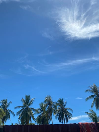 The image shows a view looking upwards towards a clear blue sky with wispy cirrus clouds. In the lower right corner, palm trees and a section of what appears to be a building or roof can be seen. The location is implied to be Seuneubok Teungoh, Indonesia, but there are no specific details in the image to confirm this. There are no people visible. The primary subjects are the sky, clouds, and palm trees. The action is static, a snapshot of the environment.
