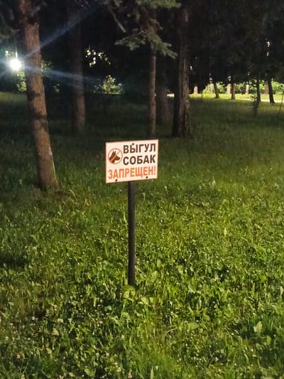 The image shows a sign in Russian that reads "Dog walking is prohibited" in an outdoor grassy area with trees in the background. The sign is rectangular with a white background and red lettering. It features a red circle with a line through it over a silhouette of a dog. The sign is mounted on a dark pole. The area appears to be a park or recreational space, with lush green grass and scattered small white flowers. The lighting suggests it might be dusk or early evening. There are no people visible in the image. The location is specified as Sof'ino, Russia.