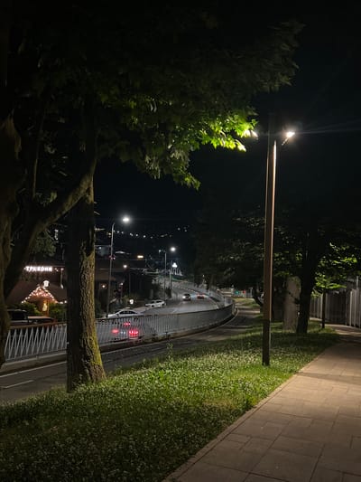 The image shows a nighttime view of a street in Krasnaya Polyana, Russia. A lamppost illuminates a sidewalk paved with square tiles, bordered by a grassy area with small white flowers. Trees with dark bark and lush green leaves are prominent in the foreground and midground. A road curves to the left, with cars visible in motion, their headlights and taillights creating streaks of light. On the left side of the road, a building with illuminated windows and a sign in Cyrillic letters is visible. Guardrails line the edge of the road. In the distance, more lights suggest the presence of buildings and infrastructure. The overall scene depicts a well-lit urban environment at night, with natural elements integrated alongside man-made structures.