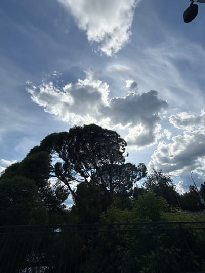 This is a vertical, eye-level, full-shot photograph taken from a low angle, looking up into the sky. The image depicts a bright, partly cloudy sky with dramatic, sunlit cumulus clouds. A faint rainbow arc is visible in the upper left quadrant. Silhouetted against the sky on the right side of the frame are the dark green foliage of trees and a dark metal fence. In the upper left, a dark, circular object, possibly a street lamp, is visible. The overall impression is one of a sunny day with dynamic cloud formations, possibly in a park or urban area with surrounding greenery and a fence. The image is oriented with the sky at the top and the ground below, although it has been rotated 90 degrees counter-clockwise for display. There is no visible text. The time of day appears to be daytime, likely late morning or early afternoon, given the bright sunlight.