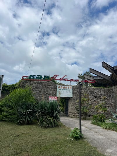This is a photograph taken from a low angle, looking up at a building facade and a cloudy sky. The building is constructed from rough-hewn stone and has weathered wooden elements. A prominent red and green neon sign spells out "АБААТА" which translates to "Abkhasia." Below this main sign, a smaller, rectangular sign reads "РЕСТОРАН-БАР" (Restaurant-Bar) and further text in Russian, including a quote about taste, price, and a date. Another sign, partially visible, says "ФУТБОЛ" (Football).
Greenery, including dense bushes and spiky plants, surrounds the building and grows up its walls. A concrete pathway runs alongside the grassy slope in the foreground. The sky is filled with white and gray clouds, suggesting it might be an overcast day. A thin black wire stretches across the sky, adding a modern element to the rustic scene. There are no people visible in the image. The overall impression is one of an established, possibly retro, establishment in a natural, somewhat wild setting. The signs indicate it's a restaurant and bar that also promotes football, hinting at a place for leisure and entertainment.