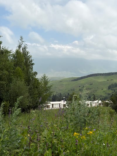This is a landscape photograph taken in Kaindy, Kyrgyzstan. The image is vertically oriented and depicts a lush green hillside under a cloudy sky. In the foreground, there is a dense collection of green foliage, including bushes and wildflowers, with some yellow and purple blossoms visible. A modern, white building with multiple windows is partially visible through the greenery, suggesting it is nestled into the hillside.

The background features rolling green hills that recede into the distance, some covered with trees. A distinct line of dark green trees runs along the crest of one of the hills, creating a strong visual boundary. The sky is filled with large, soft white clouds, indicating an overcast or partly cloudy day. The overall mood of the image is serene and natural, with a hint of human presence from the building. There is no visible text in the image. The lighting suggests it is daytime, likely late morning or afternoon, given the brightness of the scene.