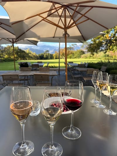 The image presents an outdoor wine tasting scene, likely in the vicinity of Stellenbosch, South Africa, indicated by the mountainous landscape in the background. Several wine glasses containing various wines (red, white, and rosé) are arranged on a reflective dark surface, possibly a table. There's also a bowl filled with grapes and possibly other small snacks positioned near the red wine glass. A row of outdoor tables and chairs can be seen in the background, suggesting a patio or outdoor seating area of a wine estate or restaurant. Large, open umbrellas provide shade over the tasting area. The lighting indicates it's likely a sunny day. There are no people immediately visible within the close-up shot, but the setup implies an intention for wine consumption.