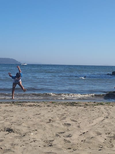On a sunny day, a child in a blue shirt plays at the edge of the beach. The child is mid-jump, with arms outstretched. The beach has light brown sand, and a thin line of seaweed marks the high-water line. The ocean stretches out to the horizon, with small waves breaking on the shore. A sailboat is visible in the distance. A black and white bird floats in the water. Rocks are visible on the right side of the ocean water.