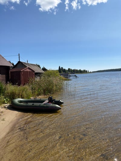 A dark green inflatable boat with a red stripe and "Catfish 340" printed on the side is beached on a sandy shore. The boat has a small outboard motor attached to the back and a fishing rod resting inside. The water is clear and shallow, with the sandy bottom visible. In the background, there are several wooden buildings with dark roofs, including a log cabin and a shed with a corrugated metal exterior. Tall green reeds and wildflowers grow along the shoreline, separating the beach from the buildings. A power line runs between two wooden posts in front of the buildings. Beyond the buildings and reeds, a wide, calm lake stretches to the horizon, meeting a clear blue sky with scattered white clouds. The overall scene depicts a quiet, rural lakeside setting in Jalguba, Russia.