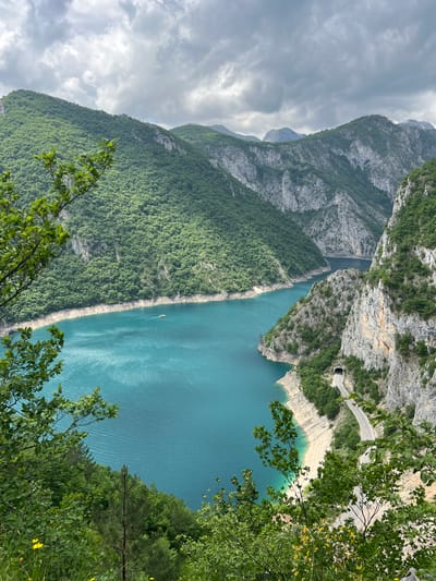 A high-angle, wide-shot photograph captures a mountainous landscape, presumably in or near Plužine, Montenegro. The scene is dominated by a deep, turquoise-colored lake or reservoir, flanked by steep, verdant mountain slopes. The slopes are heavily forested, with exposed rock faces visible in places. A winding road with a tunnel can be seen along the edge of the lake. In the distance, more mountains stretch under a partly cloudy sky. Some branches and leaves from the foreground give a sense of perspective. A small white boat can be spotted on the body of water.