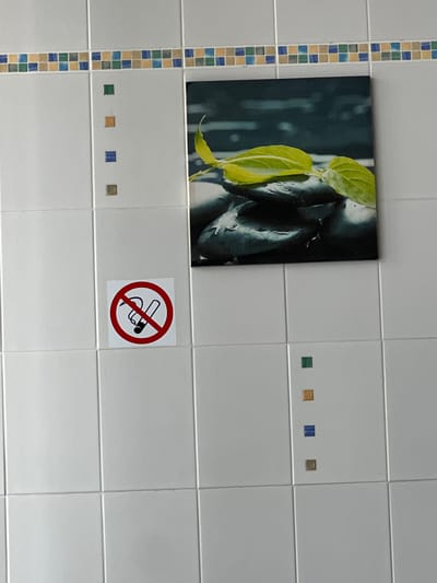 The image shows a section of a wall tiled with white square tiles. A decorative border made of smaller, colorful square tiles runs vertically along the left side of the frame. Above the white tiles, a framed picture is mounted, featuring a close-up of a dark, textured object with bright green leaves protruding from it. To the right of the picture, on the white tiles, are several small, colored square tiles, including green, orange, blue, and brown. Further to the right and slightly lower than the picture, a "No Smoking" sign is affixed to the wall. The sign is a white square with a red circle and a diagonal red line, containing a black graphic of a lit cigarette. The lighting appears to be artificial and even, suggesting an indoor environment. The overall scene depicts a wall decoration in what could be a public space, possibly a restroom or hallway, given the presence of the "No Smoking" sign. The location context of Dolgoprudny, Russia, is noted but not directly observable from the image itself.