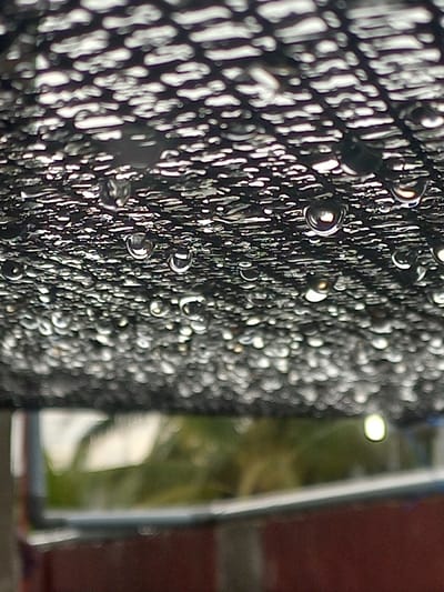 The image displays a close-up, macro-style shot of a dark, textured mesh or screen densely covered in numerous water droplets. The mesh exhibits a distinct, regular grid-like pattern. The water droplets vary in size and shape, clinging to the surface, with many appearing spherical and translucent, reflecting bright highlights from an unseen light source. These reflections create a sense of depth and luminosity.

The foreground and midground, encompassing the mesh and water droplets, are in sharp focus. The background is heavily blurred with a shallow depth of field. Indistinct patches of green, suggestive of foliage or grass, and a reddish-brown area, possibly a brick wall or another architectural structure, are visible in the background. A bright, circular light reflection or source is discernible within the blurred area, alongside a prominent vertical line that could be an edge or frame, such as a window or door frame.

The presence of water droplets indicates conditions such as recent rain, dew, or condensation. The lighting appears to be natural daylight, given the clear reflections. The scene suggests an outdoor setting, possibly a window screen, a fence, or an architectural detail, located in Puloblang, Indonesia. There are no people, animals, or visible text in the image.