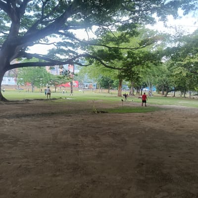 The image depicts a park scene in Valencia, Venezuela. Several individuals are scattered across a grassy field, some appearing to play soccer. One man wearing a red shirt is standing near the right side of the frame. A large tree dominates the left side, providing shade over a dirt area in the foreground. In the background, buildings and advertising billboards are visible beyond a fence. The park's environment is characterized by a mix of green grass, dirt patches, and tree cover.