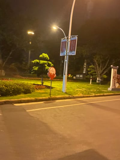 The image depicts a nighttime scene of a landscaped public area bordering a road in Dali City, China. In the foreground, an asphalt road surface is visible with a single white or yellow lane marking. This road is bordered by a concrete curb separating it from a median or park area.

The central subject is a tall, white, modern streetlamp with a curved arm, emitting a bright, warm light. Two rectangular banners, predominantly red with white and light blue elements and featuring Chinese characters, are affixed to the streetlamp.

To the left of the streetlamp, a shaped, dense green tree stands on a patch of green grass, surrounded by dark mulch. A red, circular sign on a dark pole is positioned in front of this tree. Further left, patches of small yellow flowering plants are visible on the grass.

To the right of the streetlamp, the landscaped area continues with green grass and several additional trees, including one with a distinct, exposed branching structure. A light-colored stone or concrete structure resembling a traditional Chinese gateway or monument is partially visible on the far right edge of the frame.

The background consists of dark, indistinct foliage and trees, illuminated by ambient artificial light sources which cast an orange-yellow glow across the scene. No individuals, vehicles, or active subjects are present in the image.