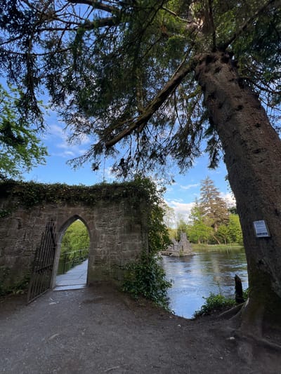 The image depicts a stone archway overgrown with ivy, framing a view of a body of water, likely a lake or wide river, reflecting the sky. A large conifer tree, with a small sign attached to its trunk, arches over the scene, partially obscuring the sky. A glimpse of a gate can be seen through the archway. The scene appears to be in Knockaunbaun, Ireland.