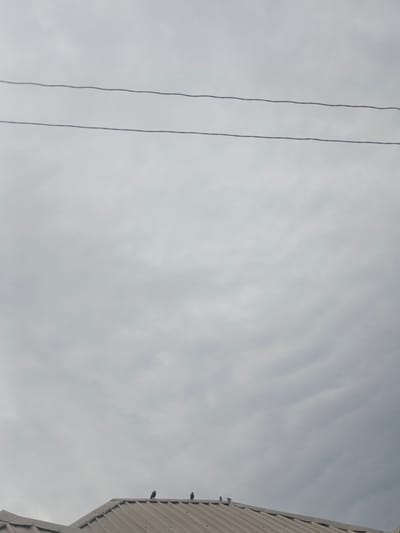 A cloudy, overcast sky dominates the frame of this photograph. Two dark power lines stretch horizontally across the upper portion of the image. The lower third of the image features the sloped, metallic roof of a building, likely a house or other structure. Perched on the peak of this roof are four small, dark birds. They appear to be standing still, facing in various directions. The overall scene is muted in color due to the overcast conditions. This image was taken in Rafin Bauna, Nigeria.