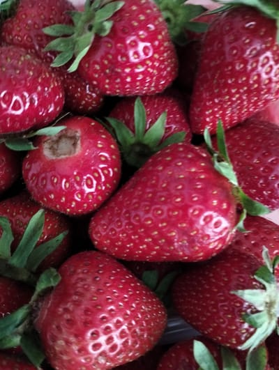 Close-up of a cluster of ripe red strawberries with green stems and leaves. One strawberry has a noticeable indentation or missing section near its stem. The location in the city of Krykhivtsi, Ukraine is not discernible from the image.