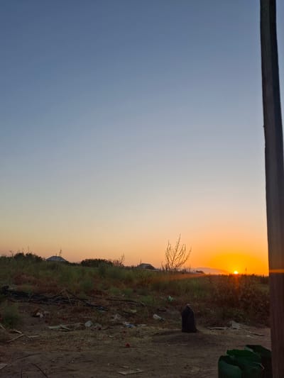 The image depicts a rural scene at sunset, likely in the outskirts of Utmayli, Uzbekistan. The sky transitions from a clear blue at the top to warm orange and yellow hues near the horizon, indicating either sunrise or sunset. In the mid-ground, a field of dry grass and scattered debris, including plastic bags and what appear to be red fruits, lies in front of a line of low-lying green vegetation. Beyond the vegetation, several structures with peaked roofs, characteristic of rural housing, are visible. A sparse, leafless tree stands out against the colorful sky. The foreground is predominantly dirt and dry grass, with a large black plastic bag or container, a green plastic container, and various other pieces of litter scattered around. A wooden post is visible on the far right side of the image, framing the scene. The overall impression is one of an undeveloped, possibly neglected, rural area bathed in the warm light of the setting sun. There are no people visible in the image.
