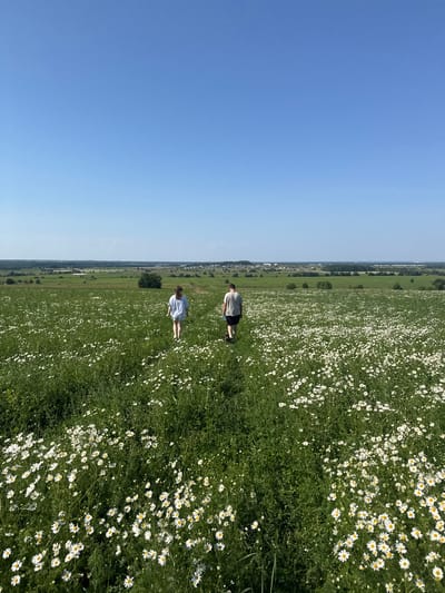 The image shows two people walking through a field of daisies under a clear blue sky. The field extends to the horizon, where it meets a treeline and then a rural landscape with scattered buildings. The two individuals are seen from behind, walking away from the viewer and towards the distant landscape. The person on the left is wearing a white t-shirt and light-colored shorts, while the person on the right is wearing a gray t-shirt and dark shorts. The scene depicts a peaceful outdoor environment with natural elements dominating the composition. The location is identified as Pigelevo, Russia.