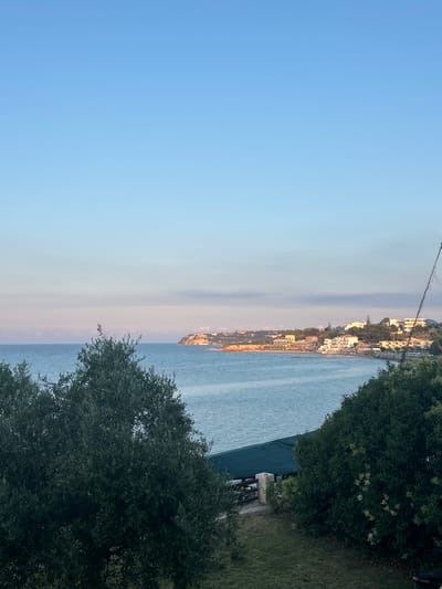 The image captures a coastal view from a slightly elevated vantage point, likely a grassy hillside, looking out over a body of water. The water is a deep blue, with some texture indicating gentle waves. Along the coastline, a densely built-up town or village is visible, characterized by numerous white and light-colored buildings with red-tiled roofs. The architecture suggests a Mediterranean style. The town is nestled against a backdrop of green hillsides, with trees and vegetation dotting the landscape.

In the foreground and right side of the image, lush green trees with dark foliage dominate, partially obscuring the view of the water and the town. Some of these trees have small clusters of light-colored flowers or fruits. A hint of a structure, possibly a bench or part of a seating area, is visible beneath the trees. The sky is a clear, pale blue, transitioning to a lighter shade near the horizon, indicating it is likely late afternoon or early evening. There is no visible text in the image. The scene conveys a sense of tranquility and a picturesque summer day by the sea.