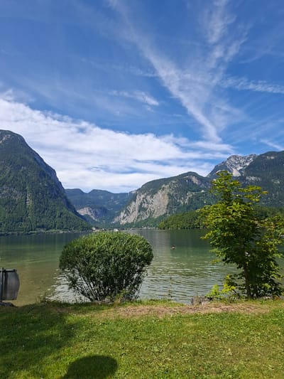 The image depicts a serene natural landscape with a lake in the foreground and mountains in the background. The sky is a clear blue with sparse, wispy white clouds. The water of the lake is calm and reflects the surrounding scenery.

On the left side of the image, a large, dense green bush stands near the water's edge. Adjacent to the bush is a dark-colored trash receptacle. The foreground is covered with green grass, with some patches of dry grass and soil. A shadow is cast on the grass from an unseen object.

The middle ground features the lake, with ripples on its surface indicating gentle movement. A single red buoy is visible in the water.

In the background, a chain of majestic mountains rises, their slopes covered with lush green trees. The mountains are layered, with some appearing closer and more detailed than others. A small cluster of buildings, possibly a village or town, can be seen nestled at the base of the mountains along the lake shore.

The overall scene is tranquil and picturesque, characteristic of a lakeside mountain resort. This view is consistent with the scenery found in Obertraun, Austria, particularly areas around Hallstätter See, which is known for its dramatic mountain backdrop and charming villages.
