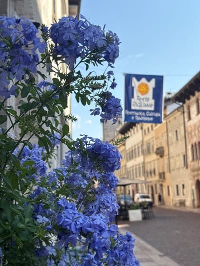 The image shows a close-up view of vibrant blue plumbago flowers in the foreground. Behind the flowers, a blue banner with a yellow sun logo and white text is visible, hanging across a narrow street lined with old buildings. The buildings have a rustic, aged appearance with visible windows and architectural details. The sky is clear and light blue, suggesting it is daytime. The overall scene evokes a Mediterranean atmosphere, possibly in a historic Italian town. The focus on the flowers creates a sense of beauty and nature contrasted with the urban setting. The text on the banner is partially legible, appearing to read "Feste Siciliane" and "Spettacolo Cultura & Tradizione," indicating a cultural festival or event related to Sicilian traditions. The lighting suggests a sunny day, possibly late afternoon or early morning given the soft light. There are no people visible in the image.