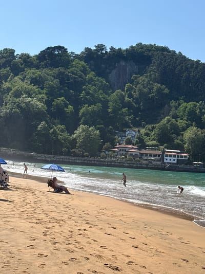 The image depicts a sunny day at Zarautz Beach in Zarautz, Spain. The foreground is dominated by a sandy beach covered in footprints. In the mid-ground, several people are present. A man sits in a folding chair under a blue umbrella, facing the sea. To his left, a child is standing near the water's edge. Further out in the turquoise water, other individuals are visible swimming and playing.

The background features a retaining wall with a promenade above it, lined with trees and several buildings, including a prominent white building situated on the hillside. The entire scene is framed by a densely forested hillside that rises behind the buildings, with a clear blue sky overhead. The overall impression is one of a lively beach on a warm summer day.