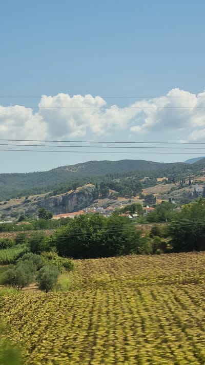 The image depicts a rural landscape under a bright blue sky with scattered white clouds. In the foreground, a field of crops, possibly sunflowers, is visible, showing rows of yellow flowers. To the left, a few olive trees are scattered amongst the fields. Beyond the fields, a line of green trees forms a mid-ground, behind which a village or small town is nestled at the base of a rocky, tree-covered hillside. The hillside rises into a mountain range in the background. Several power lines stretch across the frame, obscuring parts of the sky and the landscape. The overall scene is serene and suggests a warm, sunny day in a Mediterranean setting, consistent with the region of Sidirokastro, Greece. There are no people or animals visible in the image.