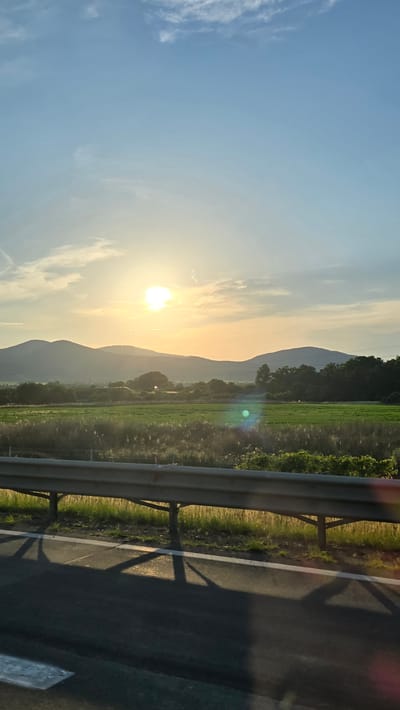 The image depicts a scenic landscape, likely in or near Bad Vöslau, Austria, during the late afternoon or early evening. The sun is low in the sky, casting a warm, golden light across the scene. The sky is a clear blue with scattered wisps of white clouds. In the distance, rolling hills or mountains form a silhouette against the horizon.
In the mid-ground, there is a vast expanse of green fields, likely agricultural land, with patches of darker green suggesting trees or shrubbery. A line of trees forms a natural border along the edge of the fields and the base of the hills.
In the foreground, a road runs horizontally across the bottom of the frame, casting long shadows from an unseen object, likely a guardrail, onto the asphalt. The guardrail itself is a prominent feature, made of metal and supported by metal posts. Beyond the guardrail, there is a strip of dry grass and vegetation, illuminated by the setting sun.
There are no people visible in the image. The overall impression is one of natural beauty and tranquility, characteristic of a rural or semi-rural setting during the golden hour. The presence of the road and guardrail suggests the view might be from a roadside or a highway overlook.