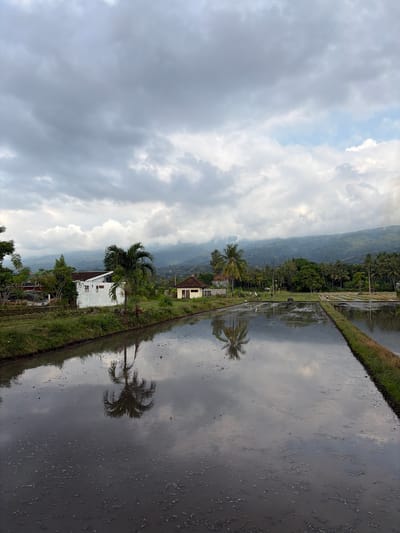 This is a medium-shot, outdoor, low-angle landscape photo taken in a rural area of Banjar, Indonesia. The scene depicts a reflective rice paddy field under a cloudy sky. In the foreground, the dark, still water of the paddy mirrors the overcast sky and a palm tree. A grassy embankment separates the paddy from a dirt path. On the left side of the path, there is a white building with a brown roof and a palm tree. Further back, a yellow building with a brown roof is visible. In the background, lush green hills rise, partially obscured by mist and clouds. The sky is filled with a variety of clouds, ranging from dark gray to lighter white, with a few patches of blue sky visible. The overall atmosphere is serene and natural. There are no visible people or animals in the frame.