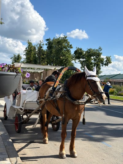 An equestrian carriage stands on an asphalt road in Suzdal, Russia. A brown horse, wearing a white headdress with ear-like adornments, is harnessed to the carriage. Inside the carriage, two passengers are visible. A large grey planter filled with purple and pink flowers is to the left of the carriage. In the background, a man in a blue shirt and white hat walks away from the camera. A building with a green roof and signs in Russian is also visible. The sky is blue with scattered clouds, and trees line the background.