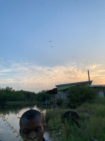 The image, when properly oriented, captures a tranquil outdoor scene, likely during either sunrise or sunset, featuring a person in the foreground observing the landscape.

In the bottom right corner, the head and upper part of the face of a dark-skinned male are partially visible, close to the camera. Some blurred foreground vegetation, specifically a stalk with small buds, is positioned between the camera and the person's face.

The left and central parts of the image are dominated by a calm body of water that reflects the soft light of the sky. The far bank of this water body is densely covered with lush, dark green vegetation, suggestive of trees or mangroves. Above and to the right of the water, a simple building with a light green wall and a darker roof is partially visible, appearing to be a wooden or sheet metal structure. Adjacent to this building, a tall, dark wooden pole or mast stands upright. Closer to the foreground on the right, beyond the building, are thick green bushes and grasses, within which dark, circular objects, possibly old tires, are partly obscured.

The sky fills the upper half of the frame, exhibiting a clear gradient from a pale blue on the far left to warmer, golden-orange tones on the right, characteristic of low sunlight. Scattered, thin, white clouds are visible, catching the warm light. Three small birds are captured in flight against the blue sky on the left side of the frame.

The setting evokes a natural, possibly rural or coastal environment, consistent with the provided location context of Ibasa, Nigeria. The scene has a peaceful and contemplative mood. There is no visible text in the image.