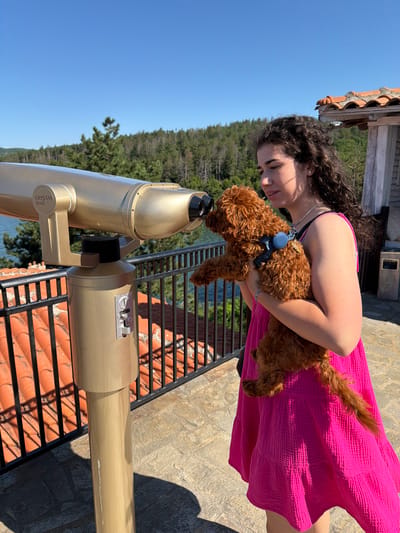 A young woman with dark curly hair, wearing a bright pink dress, stands on a stone patio holding a small, fluffy brown dog. They are both looking through a large, gold-colored coin-operated telescope that is mounted on a pedestal. The telescope is positioned on a balcony with a black metal railing, and beyond the railing, there are red tiled roofs and a body of water visible. The background consists of a lush green forest under a clear blue sky. The woman is positioned to the right of the telescope, with the dog in her arms, and the telescope is angled towards the water and forest. The overall impression is a sunny day with a scenic view, possibly at a tourist attraction in Banya, Bulgaria.