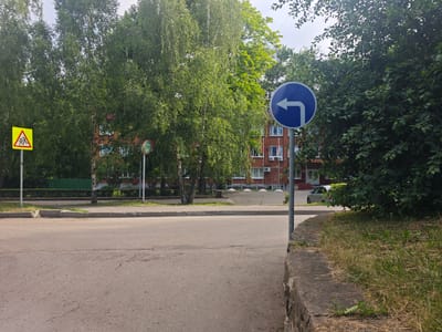 The image shows a street scene in Pushchino, Russia, with several road signs and vegetation. In the foreground, a gray asphalt road curves to the right, bordered by a low stone wall with dry and green grass. On the left side of the road, a yellow triangular sign with a red border depicts several stick figures running, indicating a children crossing. Further down the road on the left, a round sign with a red border and a white image appears to be a convex mirror. A blue circular road sign with a white arrow pointing left is prominently displayed on a pole on the right side of the road. Behind the road signs and trees, a red brick building with white-framed windows is visible. The trees in the background are lush and green, suggesting a warm season. A light-colored car is parked on the right, partially obscured by dense foliage. The sky is bright, indicating daylight.
