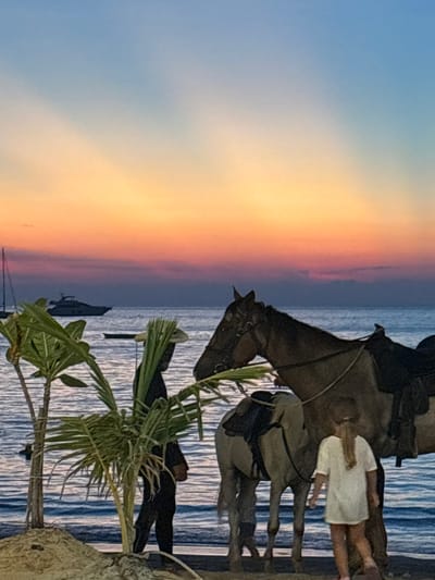 A waterscape scene, likely photographed near the beach in Kamala, Thailand, features two horses. A woman in a white top is standing next to one of the horses. A slender palm tree or shrub is in the foreground. The sky transitions from blue to orange and pink, suggesting either a sunrise or sunset. The water has vertical ripples, and boats are visible in the distance. A person is standing near the base of the palm tree, near the water.